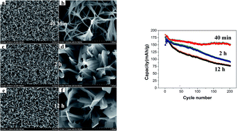 Graphical abstract: Facile hydrothermal growth of VO2 nanowire, nanorod and nanosheet arrays as binder free cathode materials for sodium batteries