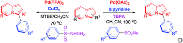Graphical abstract: Palladium-catalyzed C-3 desulfitative arylation of indolizines with sodium arylsulfinates and arylsulfonyl hydrazides