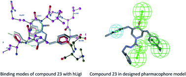 Graphical abstract: Discovery of monocarbonyl curcumin hybrids as a novel class of human DNA ligase I inhibitors: in silico design, synthesis and biology