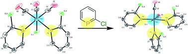 Graphical abstract: [Re(CO)3Cl(C5H4ClP)2] and [Re(CO)2Cl(C5H4ClP)3]: synthesis and characterization of two novel rhenium(i) phosphinine complexes