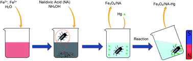 Graphical abstract: Superparamagnetic nalidixic acid grafted magnetite (Fe3O4/NA) for rapid and efficient mercury removal from water