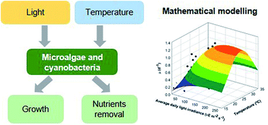 Graphical abstract: The effects of light and temperature on microalgal growth and nutrient removal: an experimental and mathematical approach