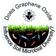 Graphical abstract: Comment on “Graphene oxide regulates the bacterial community and exhibits property changes in soil” by J. Du, X. Hu and Q. Zhou, RSC Advances, 2015, 5, 27009