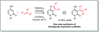 Graphical abstract: Palladium-catalyzed direct alkenylation of 4-hydroxy-2-pyridones