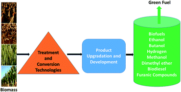 Graphical abstract: Progress in the production of biomass-to-liquid biofuels to decarbonize the transport sector – prospects and challenges
