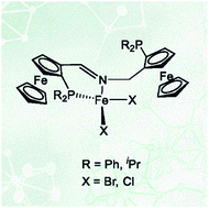 Graphical abstract: Synthesis, coordination behavior and structural features of chiral iron(ii) PNP diferrocene complexes