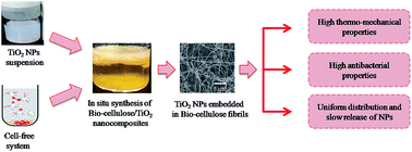 Graphical abstract: In situ synthesis of a bio-cellulose/titanium dioxide nanocomposite by using a cell-free system