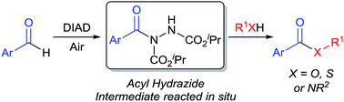 Graphical abstract: A facile, one-pot procedure for the conversion of aromatic aldehydes to esters, as well as thioesters and amides, via acyl hydrazide intermediates