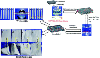 Graphical abstract: Investigation of the heat resistance, wettability and hemocompatibility of a polylactide membrane via surface crosslinking induced crystallization