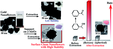 Graphical abstract: Surface clean gold nanoflower obtained by complete removal of capping agents: an active catalyst for alcohol oxidation