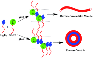Graphical abstract: From reverse worms to reverse vesicles formed by mixed zwitterionic and non-ionic surfactants in cyclohexane
