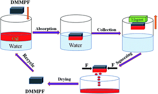 Graphical abstract: Durable and modified foam for cleanup of oil contamination and separation of oil–water mixtures