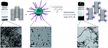 Graphical abstract: Non-covalent dispersion of multi-walled carbon nanotubes in aqueous solution with hyperbranched polyethylene-g-poly(methacrylic acid)