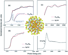 Graphical abstract: Understanding Au∼98Ag∼46(SR)60 nanoclusters through investigation of their electronic and local structure by X-ray absorption fine structure