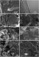 Graphical abstract: A graphene supported polyimide nanocomposite as a high performance organic cathode material for lithium ion batteries