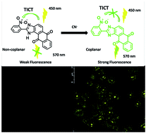 Graphical abstract: Novel ratiometric turn-on fluorescent probe for selective sensing of cyanide ions, effect of substitution and bio-imaging studies