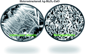 Graphical abstract: Heteroarchitectured Ag–Bi2O3–ZnO as a bifunctional nanomaterial