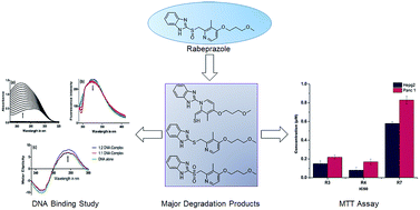 Graphical abstract: Identification and characterization of stressed degradation products of rabeprazole using LC-ESI/MS/MS and 1H-NMR experiments: in vitro toxicity evaluation of major degradation products