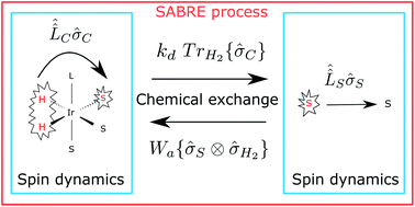 Graphical abstract: Quantitative description of the SABRE process: rigorous consideration of spin dynamics and chemical exchange