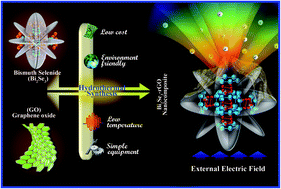 Graphical abstract: rGO-Wrapped flowerlike Bi2Se3 nanocomposite: synthesis, experimental and simulation-based investigation on cold cathode applications