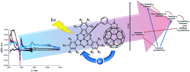 Graphical abstract: Taming C60 fullerene: tuning intramolecular photoinduced electron transfer process with subphthalocyanines