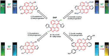 Graphical abstract: A divergent route to core- and peripherally functionalized diazacoronenes that act as colorimetric and fluorescence proton sensors