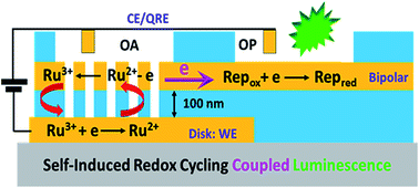 Graphical abstract: Self-induced redox cycling coupled luminescence on nanopore recessed disk-multiscale bipolar electrodes