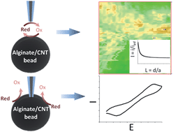 Graphical abstract: Multiscale electrochemistry of hydrogels embedding conductive nanotubes