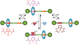 Graphical abstract: Versatile control of the submolecular motion of di(acylamino)pyridine-based [2]rotaxanes