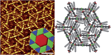 Graphical abstract: Concentration-dependent rhombitrihexagonal tiling patterns at the liquid/solid interface