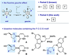 Graphical abstract: Can acyclic conformational control be achieved via a sulfur–fluorine gauche effect?