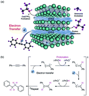 Graphical abstract: Two dimensional inorganic electride-promoted electron transfer efficiency in transfer hydrogenation of alkynes and alkenes