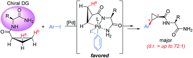 Graphical abstract: Asymmetric C–H functionalization of cyclopropanes using an isoleucine-NH2 bidentate directing group