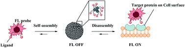 Graphical abstract: Near-infrared fluorescence activation probes based on disassembly-induced emission cyanine dye