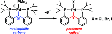 Graphical abstract: Palladium carbene complexes as persistent radicals