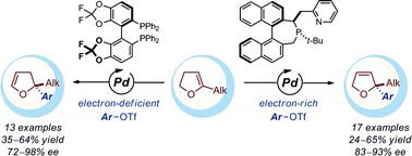 Graphical abstract: Access to enantioenriched 2,3- and 2,5-dihydrofurans with a fully substituted C2 stereocenter by Pd-catalyzed asymmetric intermolecular Heck reaction