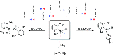 Graphical abstract: A nitrogen-base catalyzed generation of organotin(ii) hydride from an organotin trihydride under reductive dihydrogen elimination