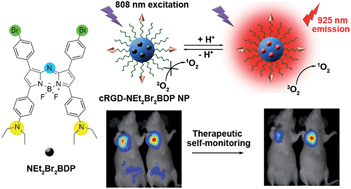 Graphical abstract: A pH-activatable and aniline-substituted photosensitizer for near-infrared cancer theranostics