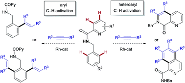 Graphical abstract: RhI/RhIII catalyst-controlled divergent aryl/heteroaryl C–H bond functionalization of picolinamides with alkynes