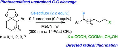 Graphical abstract: Unstrained C–C bond activation and directed fluorination through photocatalytically-generated radical cations