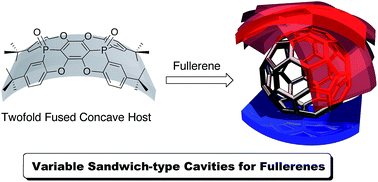 Graphical abstract: Twofold fused concave hosts containing two phosphorus atoms: modules for the sandwich-type encapsulation of fullerenes in variable cavities