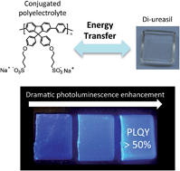 Graphical abstract: Synergistic photoluminescence enhancement in conjugated polymer-di-ureasil organic–inorganic composites
