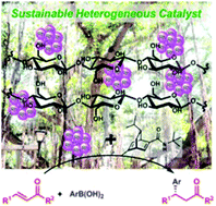 Graphical abstract: Cellulose-supported chiral rhodium nanoparticles as sustainable heterogeneous catalysts for asymmetric carbon–carbon bond-forming reactions