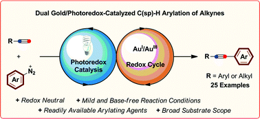 Graphical abstract: Dual gold/photoredox-catalyzed C(sp)–H arylation of terminal alkynes with diazonium salts
