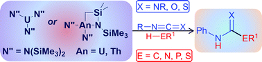 Graphical abstract: Catalytic insertion of E–H bonds (E = C, N, P, S) into heterocumulenes by amido–actinide complexes