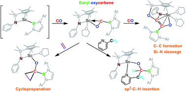 Graphical abstract: Isolation, structure and reactivity of a scandium boryl oxycarbene complex