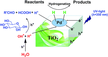 Graphical abstract: Using the hydrogen and oxygen in water directly for hydrogenation reactions and glucose oxidation by photocatalysis