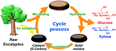 Graphical abstract: Hydrolysis of woody biomass by a biomass-derived reusable heterogeneous catalyst