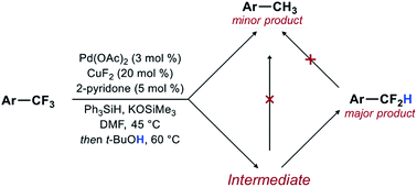 Graphical abstract: Catalytic activation of a single C–F bond in trifluoromethyl arenes