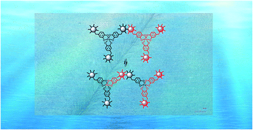 Graphical abstract: A seawater triggered dynamic coordinate bond and its application for underwater self-healing and reclaiming of lipophilic polymer